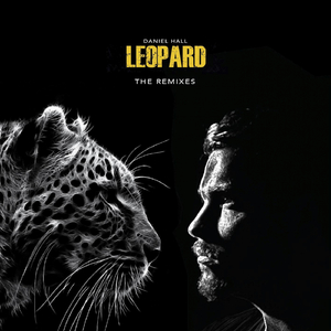 Leopard (Original Mix)