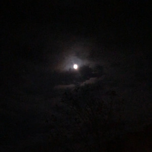 Rises the Moon (cover) (Cover)