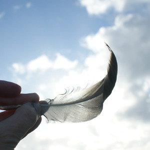 Volta só para dizer adeus