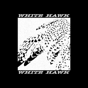 White Hawk