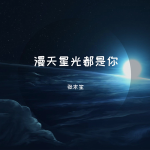 所念皆星河 钢琴版