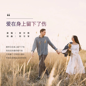 爱在身上留下了伤 (水兵舞版)