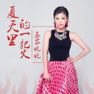 夏天里的一把火 (DJ何鹏版伴奏)