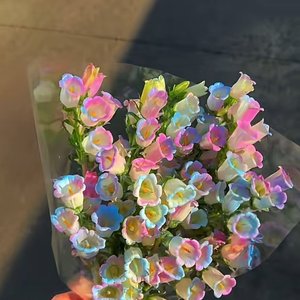 浪漫是时间忽然变得温柔