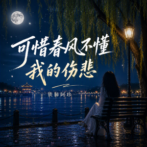 可惜春风不懂我的伤悲