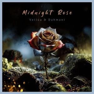 Midnight Rose