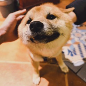 时光的回忆拼图