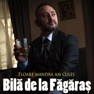 Floare mândră am cules