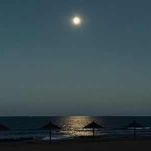 牵牛花 Final 修正版