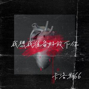 我想我准备好放下你了