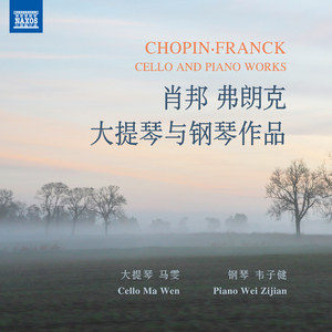 Etude No. 19 in C-Sharp minor, Op. 25, No. 7 (arr. A. Glazunov for cello and piano)（升C小调第19号练习曲，作品25之7（由格拉祖诺夫为大提琴与钢琴改编））