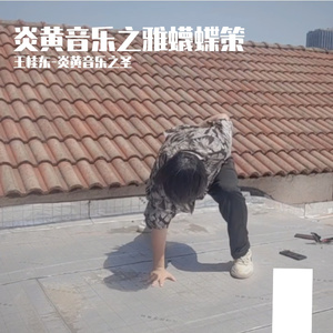 雅蠛蝶