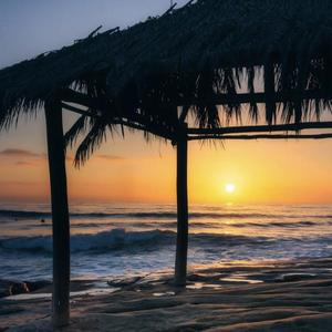 情义无悔（DJ版）