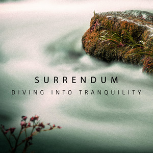 Diving Into Tranquility