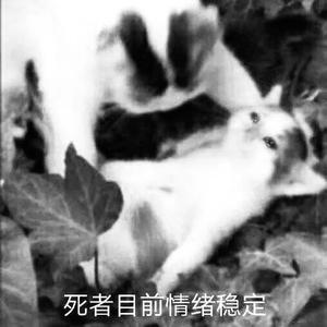 临盆一脚（demo）