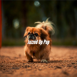 Astonishing Music for Doggy Resting