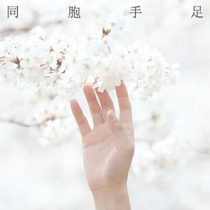 同胞手足