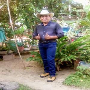 Se Escacho la Bolefuego