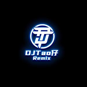 沈园外（DJTao仔Remix)