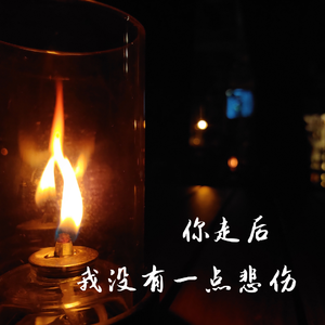 你走后我没有一点悲伤DEMO