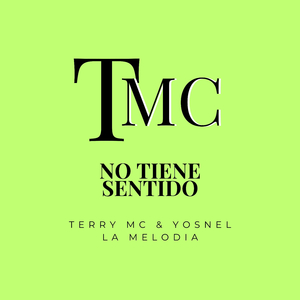 No Tiene Sentido