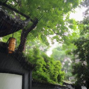 雨巷