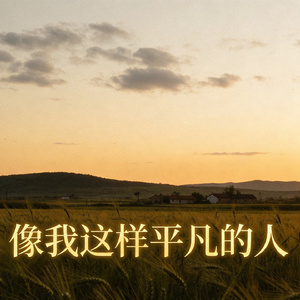 像我这样平凡的人