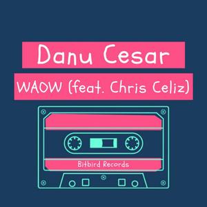 WAOW (feat. Chris Celiz)