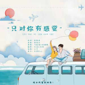 只对你有感觉