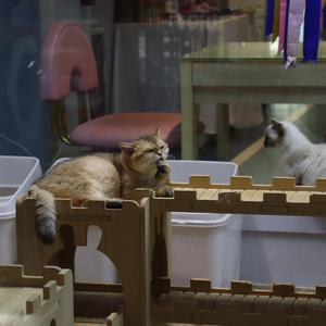 谜语人（prod by Leeezz）