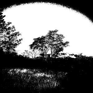 高速公路 （翻自刘森）