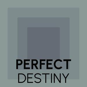 Perfect Destiny