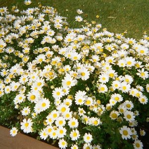 游走记忆的时间（翻自 Nell）