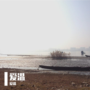 蒲公英的约定