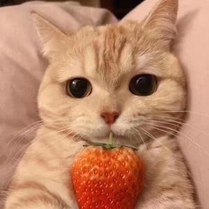 我喜欢上你时的内心活动