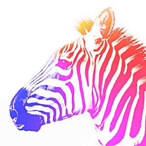 Lazers (Original Mix)