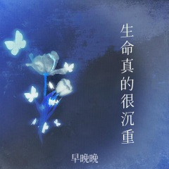 生命真的很沉重