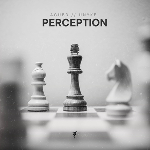 Perception (Radio Edit)