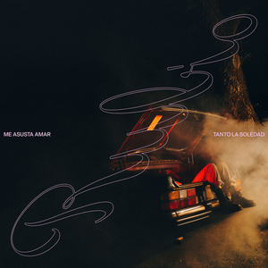 Me Asusta Amar Tanto la Soledad
