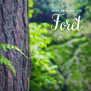 Sons de la nature: Mer, Pt. 04