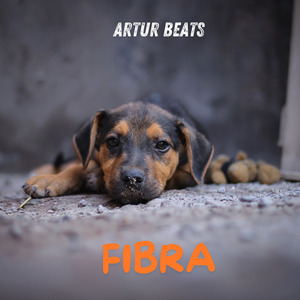 Fibra