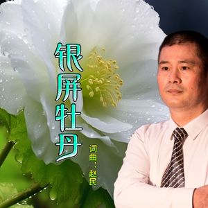 银屏牡丹