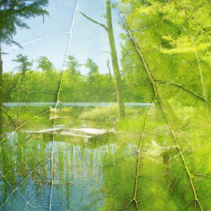 The Silent Journey Home