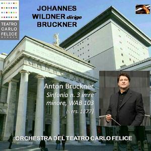 Symphony No. 3 in D Minor, WAB 103: Scherzo. Ziemlich schnell