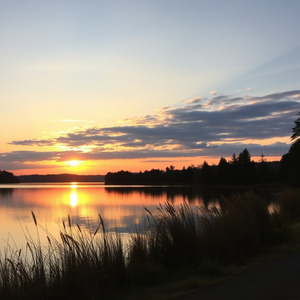 満たされない海