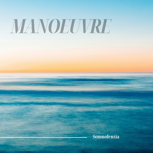 Manoeuvre