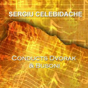 Violin Concerto In D Major Op 35a: Quasi Andante