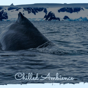 Raise My Hands Theme 2