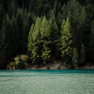 그대는 호수가 되어