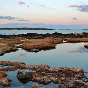 无名的人- 毛不易